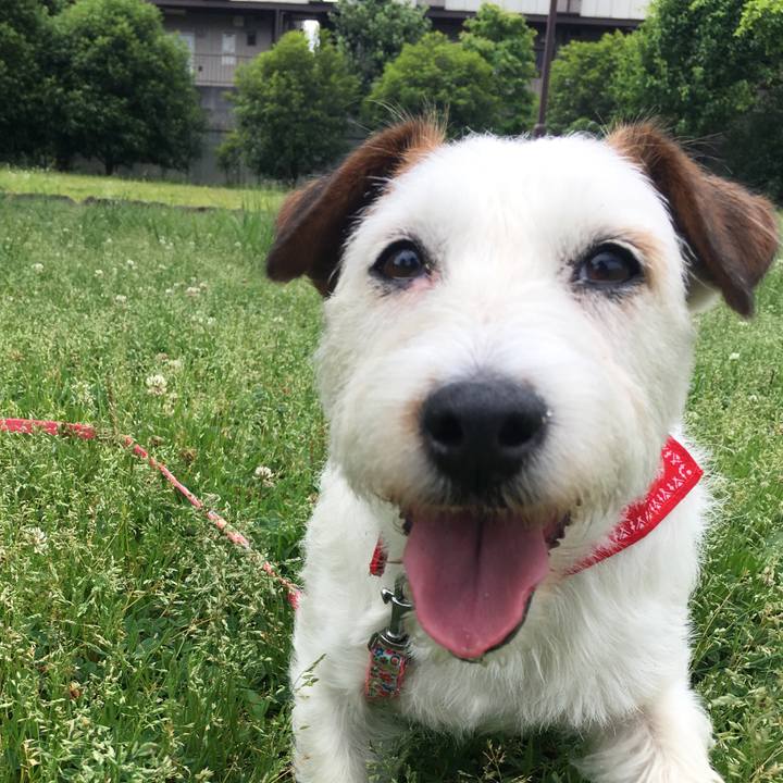 D6cf25f1 329a 4f3d 88b4 cd4ee2c4047a 1534031108834