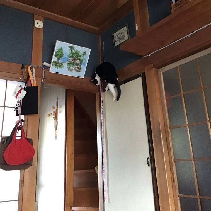 D6cf52f7 6080 4d39 b794 f675adff7b8e 1654725441025