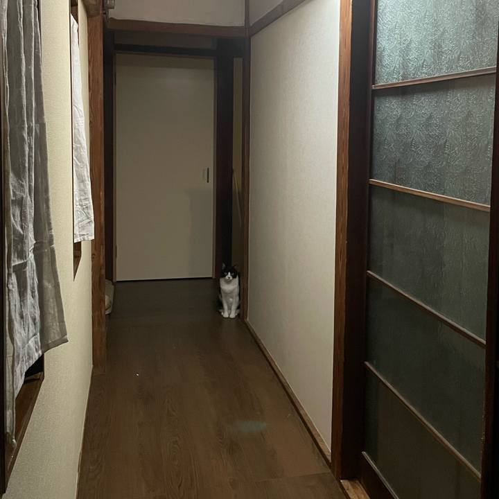 D6cf60b9 f25a 4f63 b73b 309fb5b22259 1730709935354