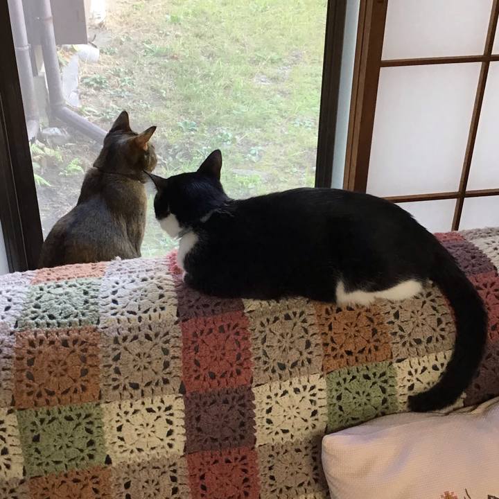 D6cf6dd6 c948 4d76 88cd fcd447f03f88 1635414844255