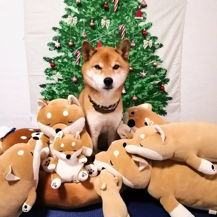 D6cf86e9 4dca 4a14 af24 b0fc5fb01489 1607067611396