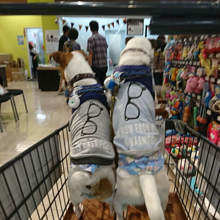 D6cfbb5e 8149 4afe a869 6de9da463dcc 1536997575500