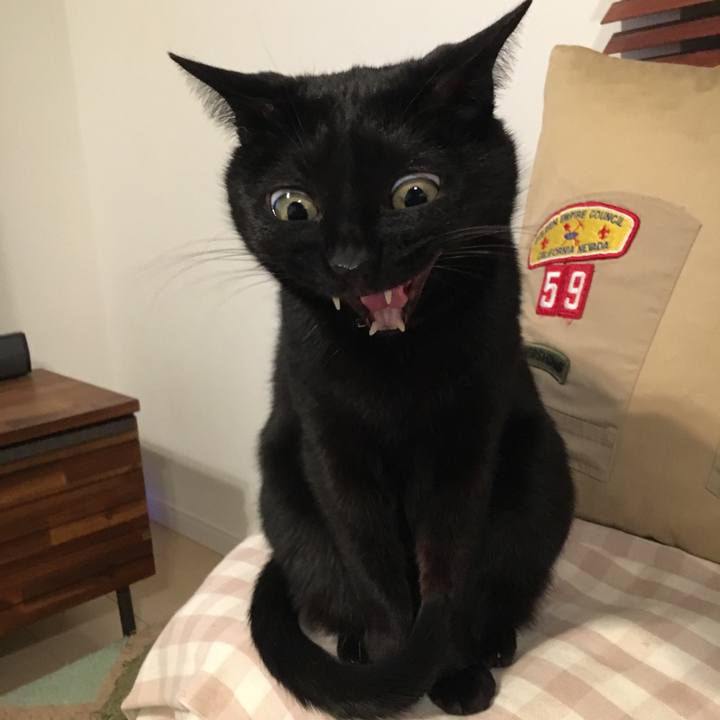 D6cfe301 ee54 4640 b7ec 6cf244da611f 1552650963073