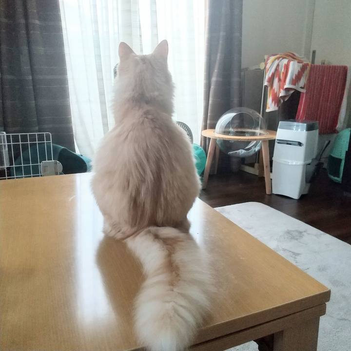 D6cfe886 b33d 4432 9876 49239645f4c4 1622944166759