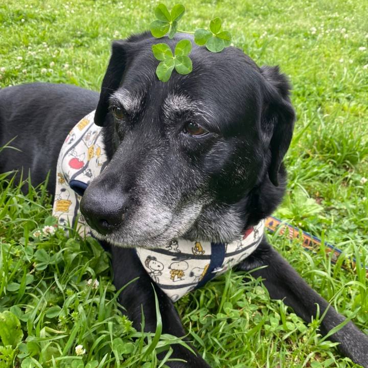 D6cffb25 acdf 4466 ab42 e98847df1e91 1651156909395