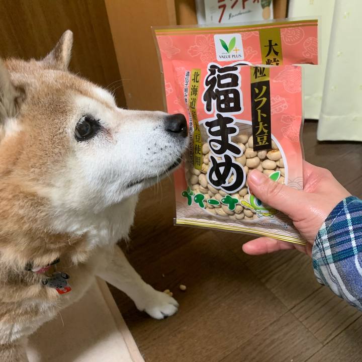 D6d00b70 05aa 4650 9857 a6da47e97387 1612269315286