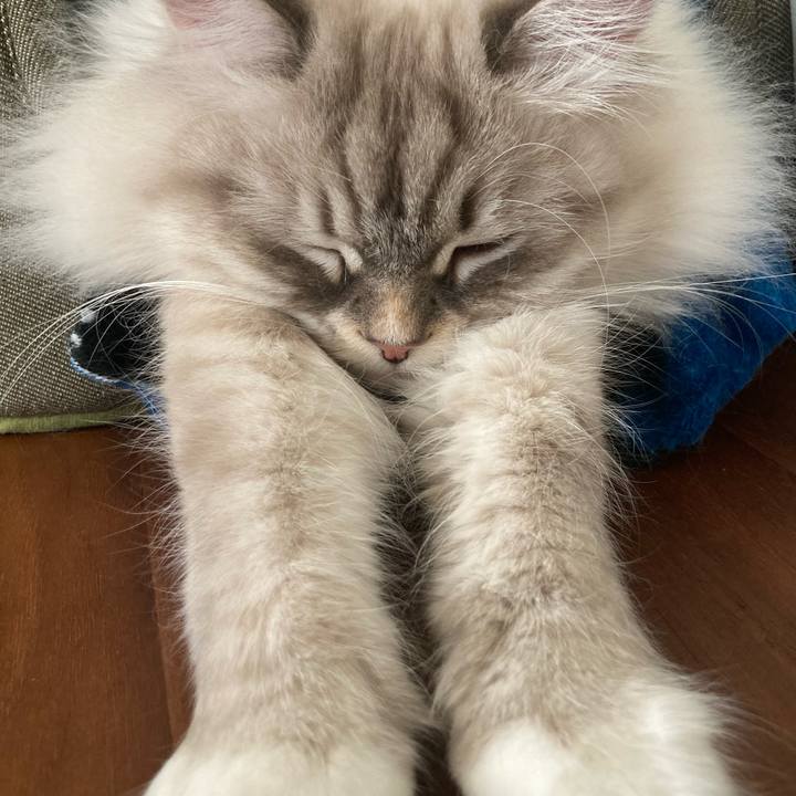 D6d0127a 89ca 4434 ad81 da85e61847af 1706963479429