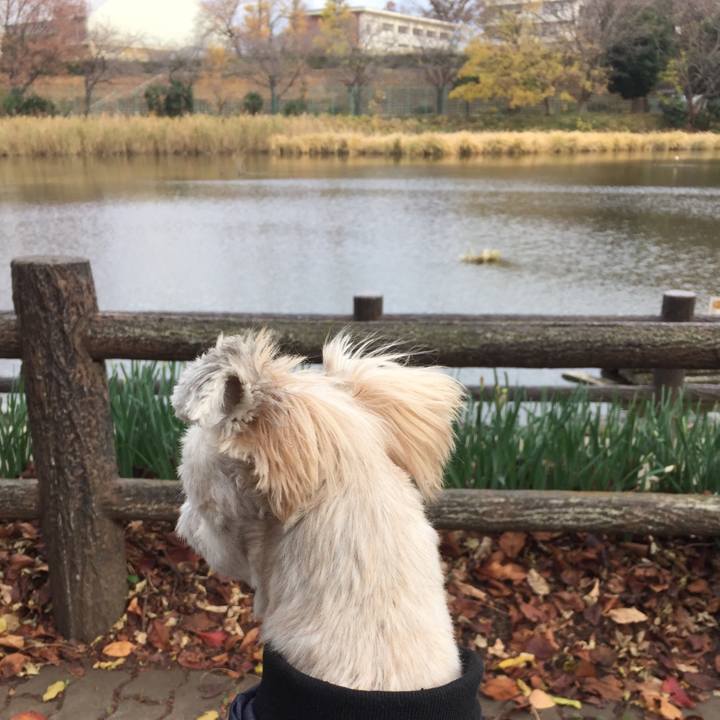 D6d0550b 5b49 4cf9 ace2 0f6050288032 1544329848996