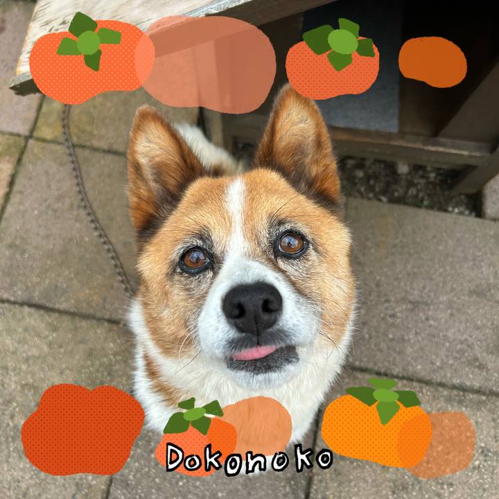 D6d0854d 5835 4d9b a6b4 1a94401e6c2d 1761435520365