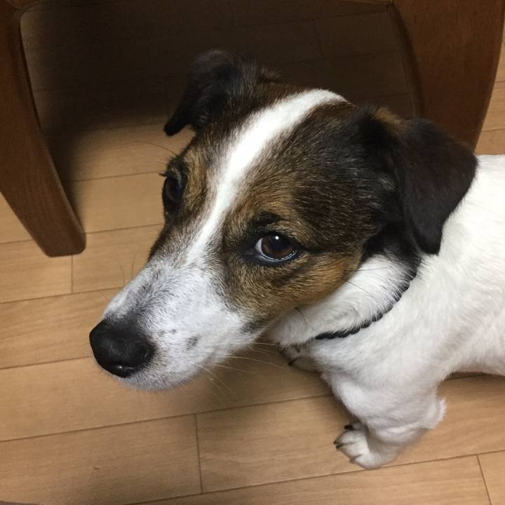 D6d0c99e c908 480f 88fb e7584d5ec800 1558523618975