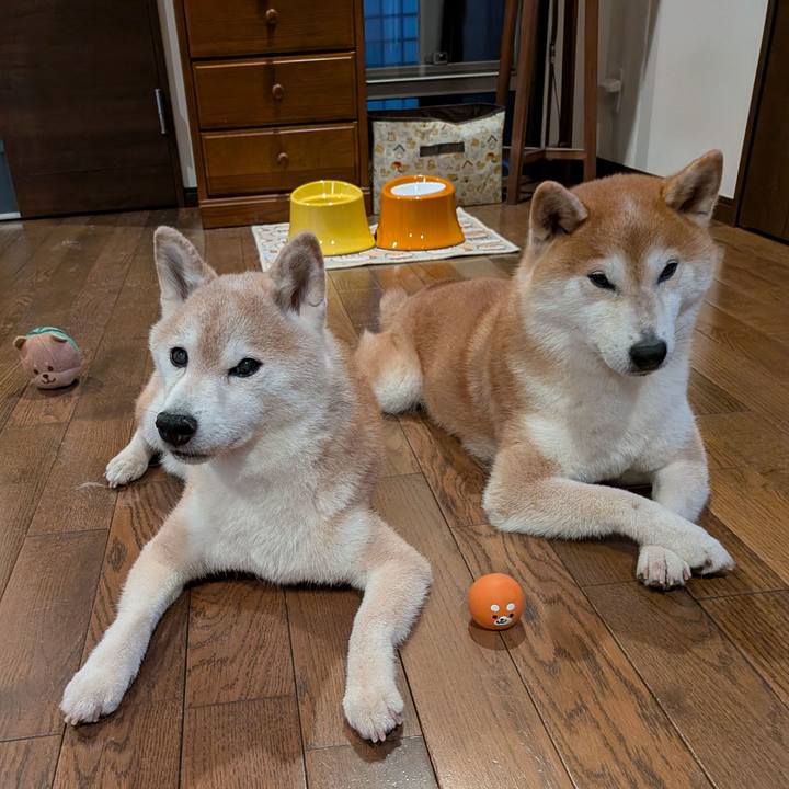 D6d0cc1a 6bee 429f 8968 7614a22f1863 1757764587907