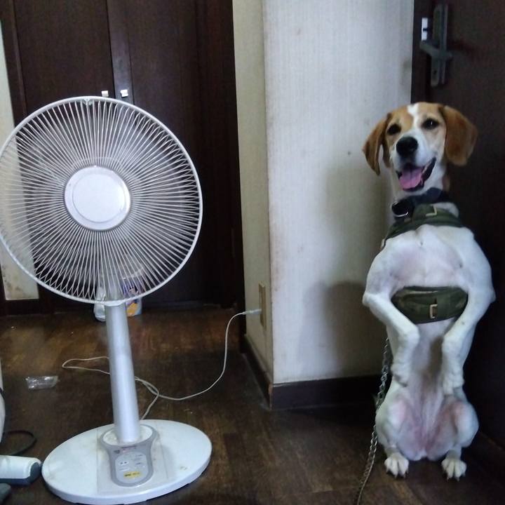 D6d0f3a5 accd 40e3 a388 f35d56df0f64 1688288389357