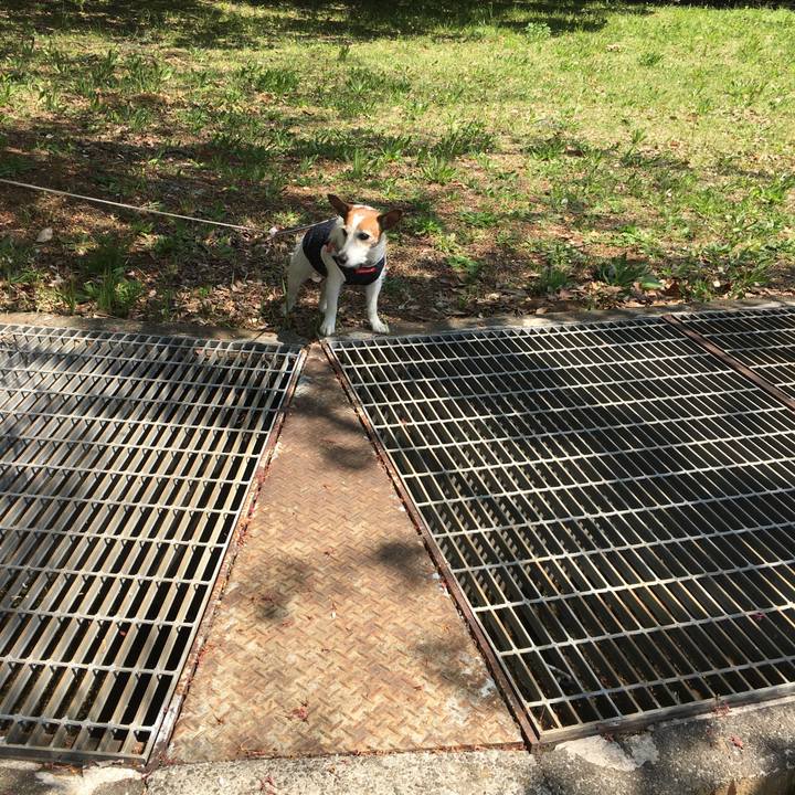 D6d11895 49b5 49fc 96fe 1d0038dcabaa 1618270209749