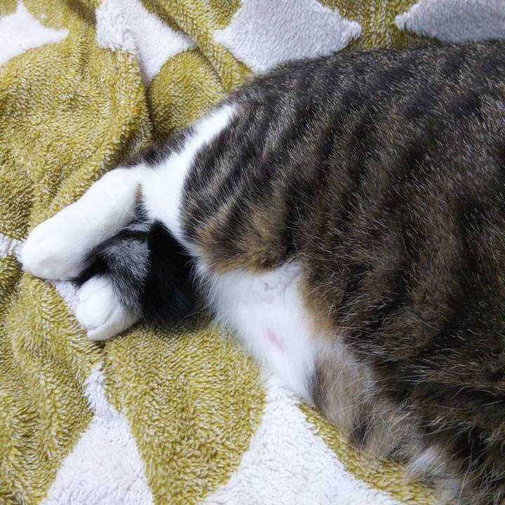 D6d13db4 db64 432e 82e1 3ee851967867 1645099480774