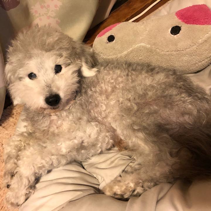 D6d175b7 4376 4100 a3d3 230fbd24b2f5 1625530924507