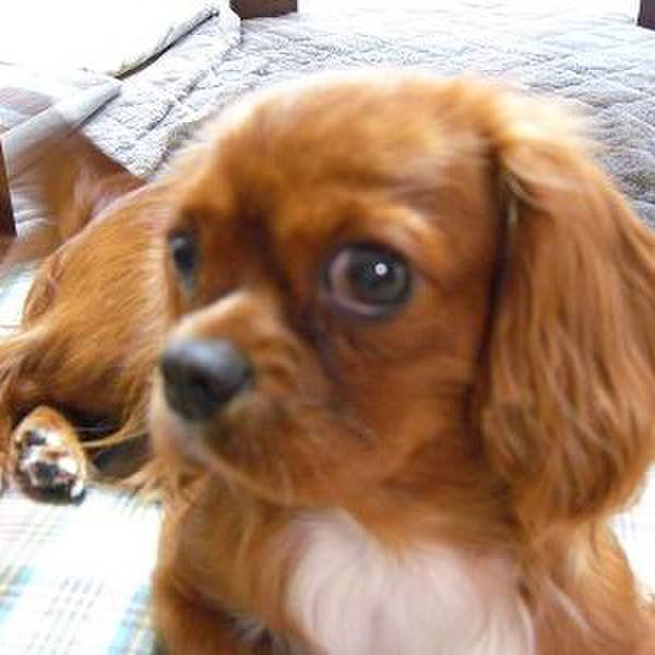 D6d184e1 7a8a 48fb 835b 02debabe10c6 1512772541896