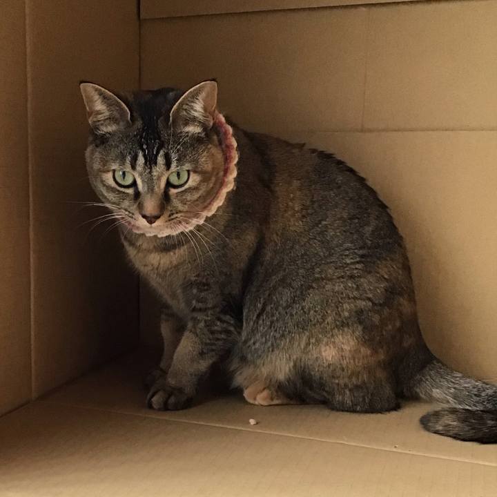 D6d19c9c 6aaf 46bd b0fd 559b674be4a5 1618212259632