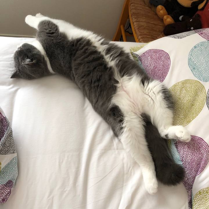 D6d1bcb8 c4b9 475e 8139 1d42b897ff66 1541503198138