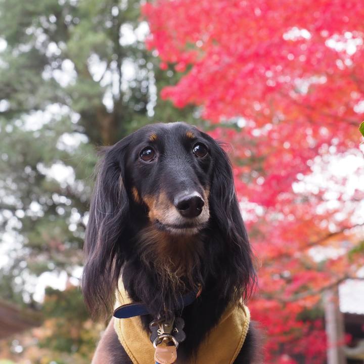 D6d1c369 96e4 44fe 9ce1 41946f9ee70c 1669611343982