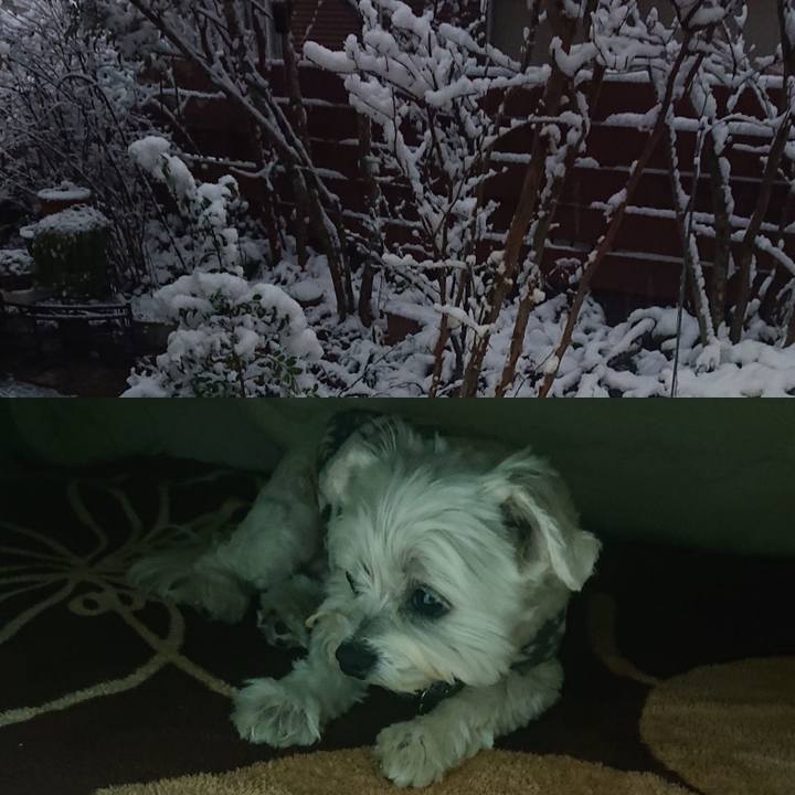 D6d2290e 3b9a 4b0d bf7b 17a002c49cd6 1641456279625