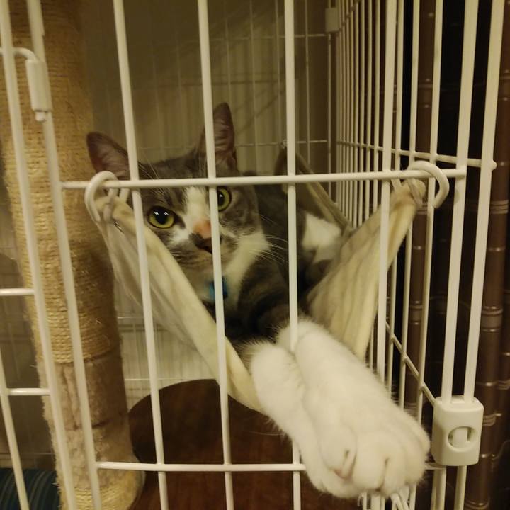 D6d22c11 31d6 4168 987c 4c7d4a3c2ad2 1595862550779