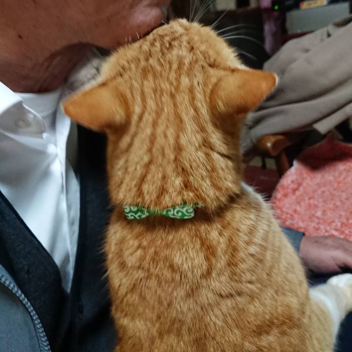 D6d22d91 cb8b 4343 ab65 2b9635964167 1580161976443