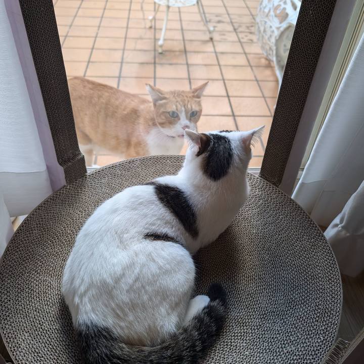 D6d240ca 71a9 49a4 9f03 f7af350fe78d 1726117311303