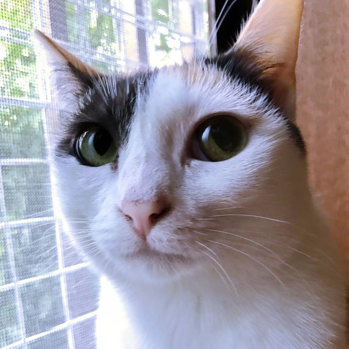 D6d2783d 939c 47c6 8511 2e3df1bde56c 1508299371734