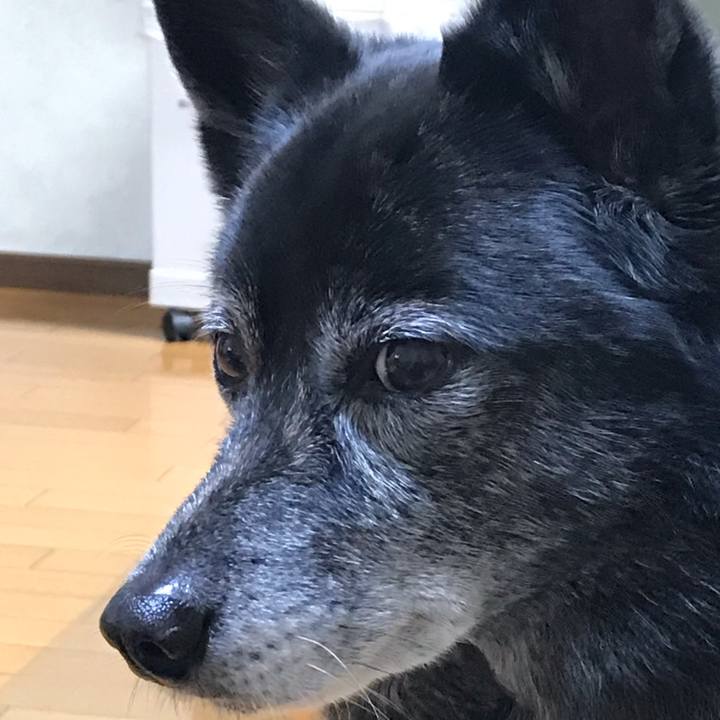 D6d28068 d722 4d25 ad50 4f80ce7e8b20 1556799849398