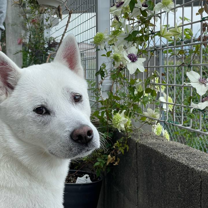 D6d29343 24fc 4886 8a33 f7cbfe9673d8 1683348664478