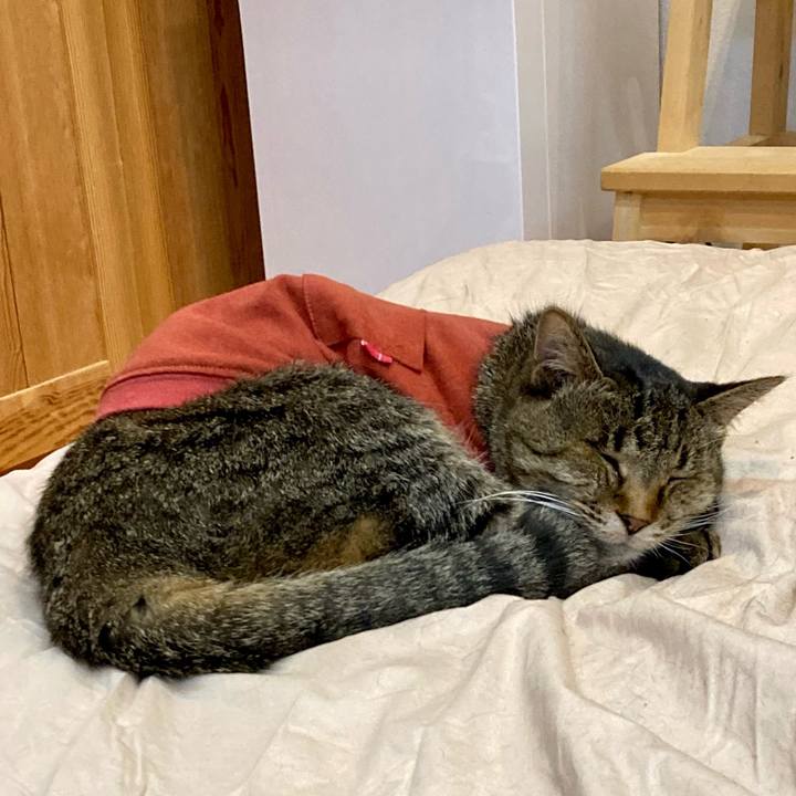 D6d2dd3a e219 4fd8 b39c 0b4ed12b6da0 1681992810016