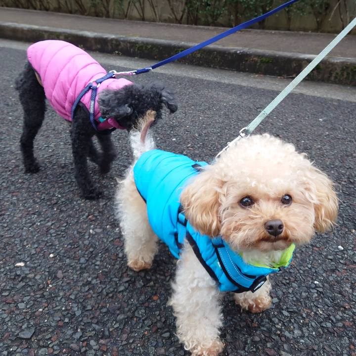 D6d2e6bc 4ea5 457a bce4 5eb2ec27d6ef 1770887584000