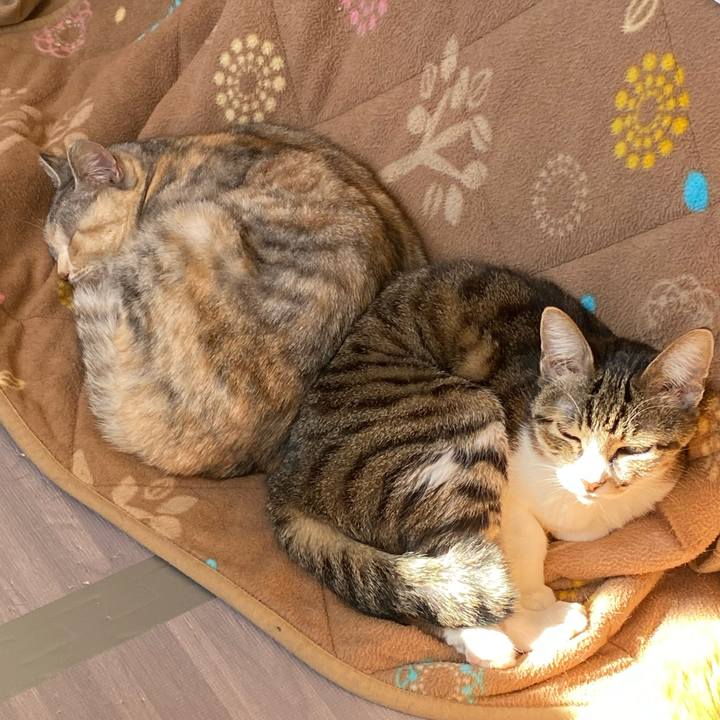 D6d2f2f3 07dd 4077 8635 5eabef28e429 1645073012699