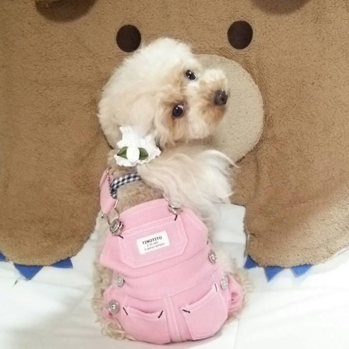 D6d34331 53ff 4e90 800f 9529b37b5eba 1542791000096