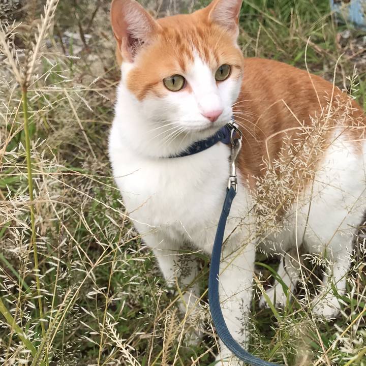 D6d348ec 9e47 4cf1 b468 ae61db281438 1509509587811