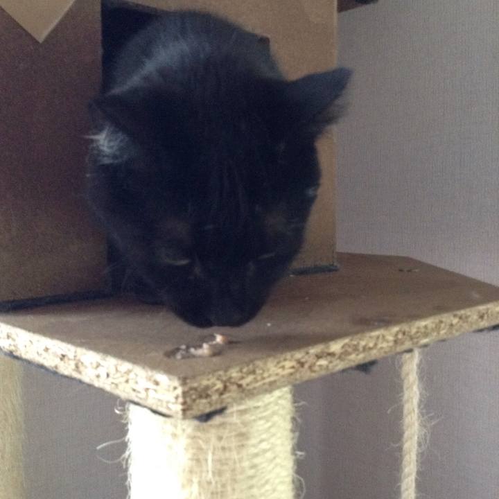 D6d36cd0 d5ce 4115 bcdd f76ac42342a7 1534637652117