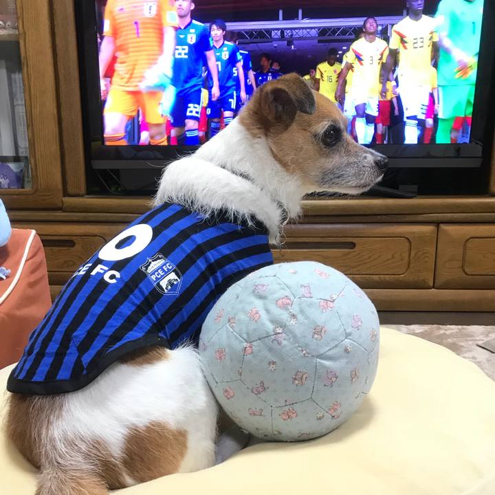 D6d3b04c f436 4a2a a520 e840ca2d960c 1529410056598