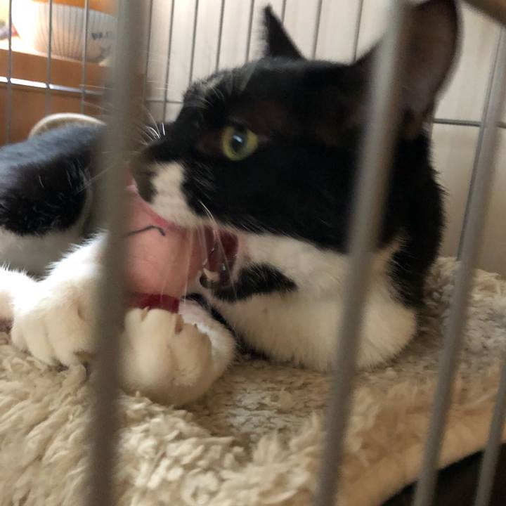 D6d3f5d0 5ac9 4b05 86bc fa6c62bd12ad 1536930584193