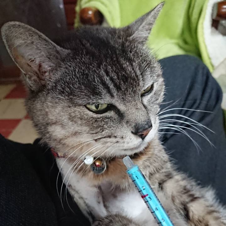 D6d422fe eb16 4f10 82cf 4a3145396718 1588283994574