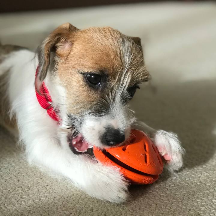 D6d43a23 2abb 4f48 afba 49f85540fa57 1757587253064