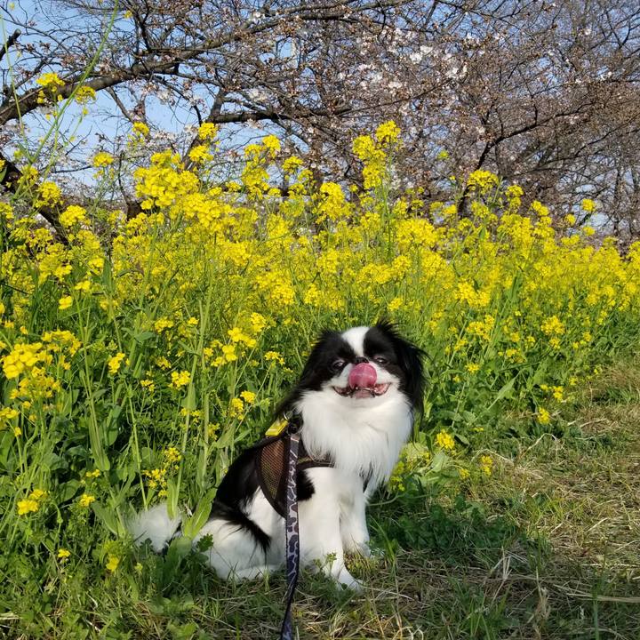 D6d499de 0669 4721 8c44 ca8c1ef99d72 1679486569149