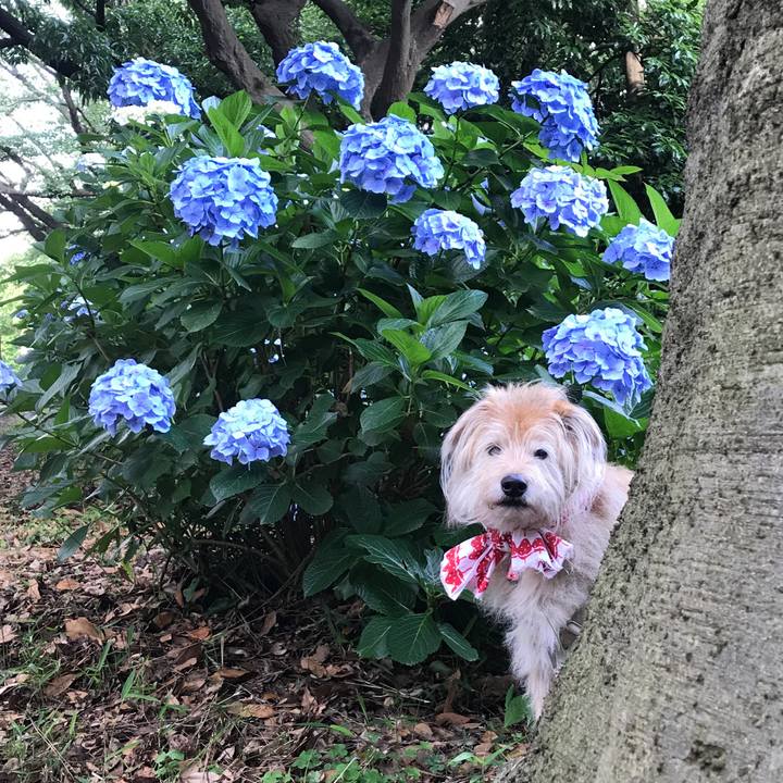 D6d4cccb 8699 4ca8 a2da af5281b01e2b 1623713876649