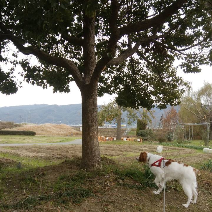 D6d511f5 7458 4e6c 8730 1cd9f111271f 1544962951895