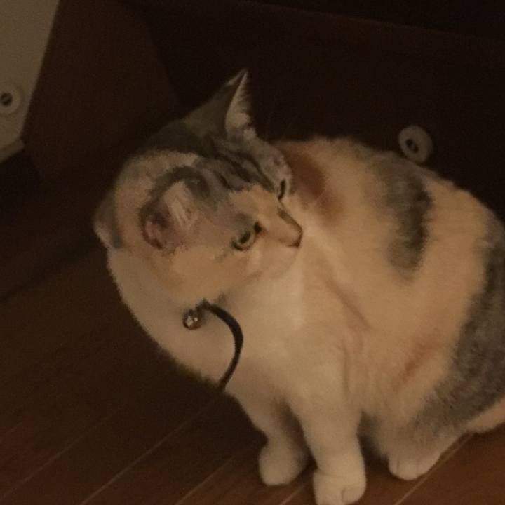 D6d52a08 df28 42e4 b842 6e3fd3bad504 1562596320472