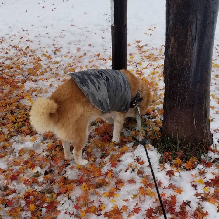 D6d54e17 522b 4ff4 83c6 d9e809e0fd08 1700889673757