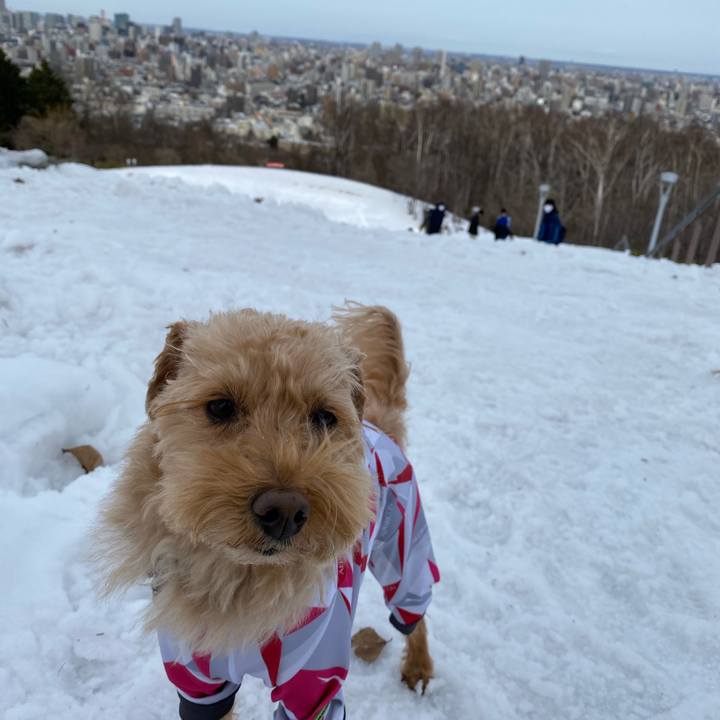 D6d570d1 1577 4722 854d 58c008361cfd 1615777196753