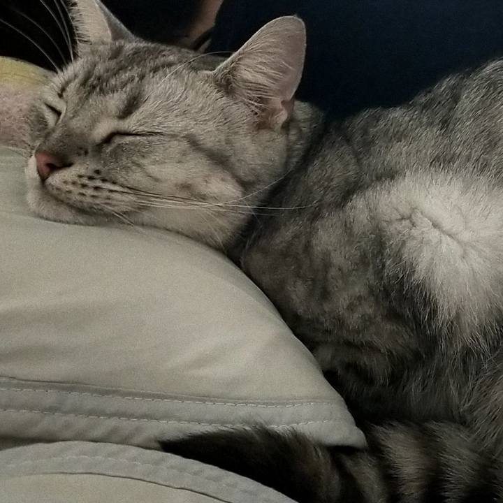 D6d582e6 2b89 4120 a080 2d26fb8f6854 1597707535166