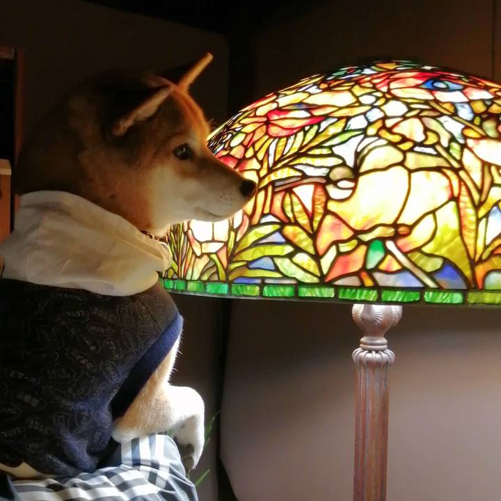 D6d59eb9 dc16 4ba5 86d2 3be5ab10b32f 1674041914699