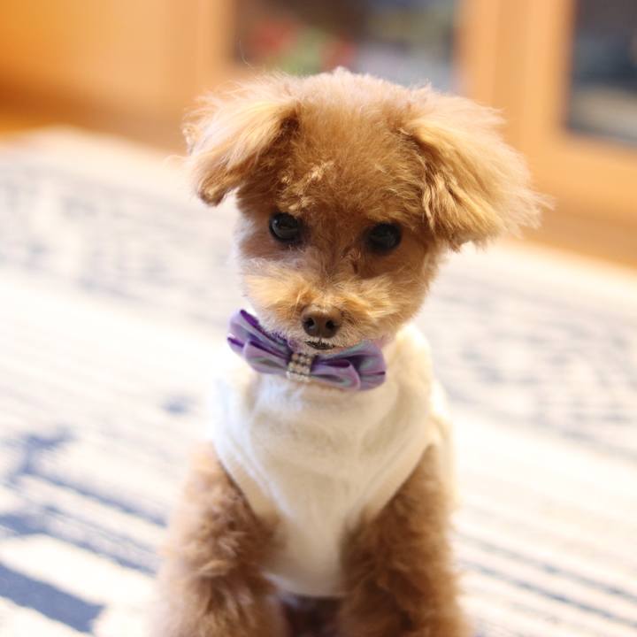 D6d5cd8b 0976 4b50 ba95 1dafda9250fd 1581405485049