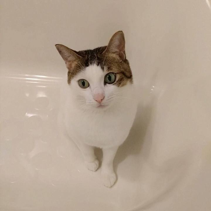 D6d5d5fe 593f 42fd 874c 08391cadd1ce 1764117445925